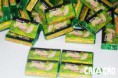 /album/jardim-das-borboletas/jardim-chiclete-jpg/